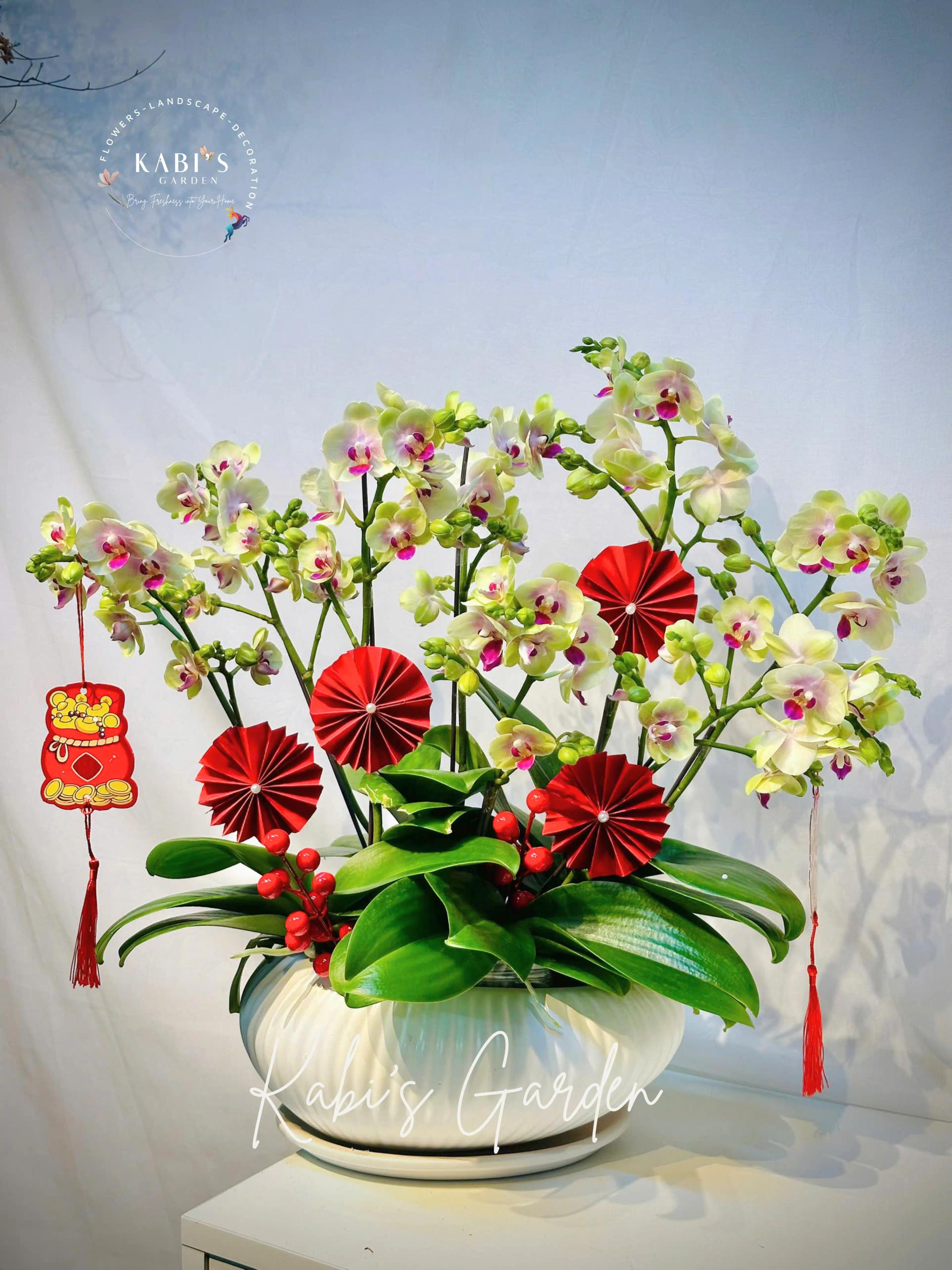 Ý nghĩa của Lan Hồ Điệp trong dịp đầu năm